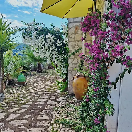 La Dolce * פסקיצ'י